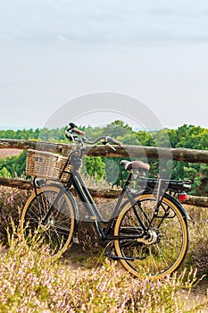 Electric bicycle with basket in Dutch national park The Veluwe