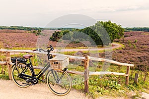 Electric bicycle with basket in Dutch national park The Veluwe