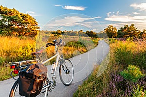 Electric bicycle in Dutch national park The Veluwe