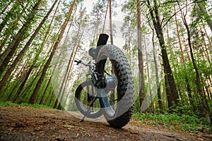 Electric bike with thick wheels on the background of a forest. Pleasant sports hobby. Black fatbike