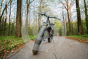Electric bike with thick wheels on a road in the forest. Healthy sports hobby. Black fatbike