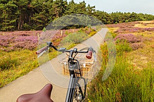 Electric black cargo bicycle with basket in Dutch national park