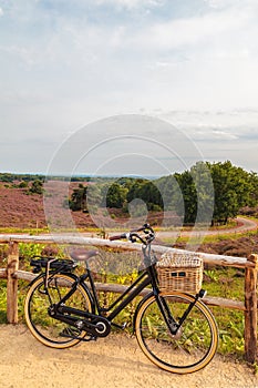 Electric black cargo bicycle with basket in Dutch national park