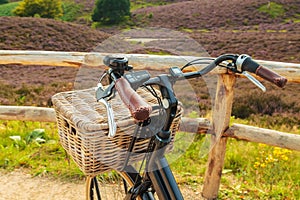 Electric black cargo bicycle with basket in Dutch national park