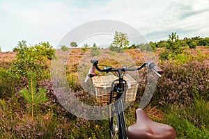 Electric black cargo bicycle with basket in Dutch national park