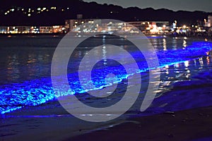 Electric Blue Glow on Pacific Coast Waves or Red Tide photo