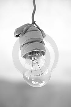 Electric bulb hangs, black and white photo