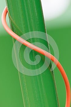 Electric cable of industrial or agricultural machinery, technology concept