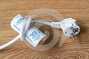 Electric cable with plug tied to a knot on a roll of bulgarian leva banknotes. Cost of electricity and expensive energy concepts.