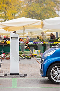 Electric car charging with flowers