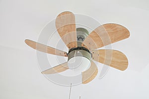 Electric ceiling fan with lamp