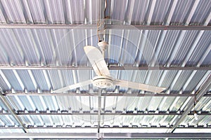 Electric ceiling fan white Installed on the ceiling under the aluminum roof.