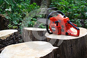 Electric chainsaw on cut tree stumps