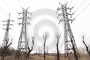 Electric city pole with gray sky and bare tree branches