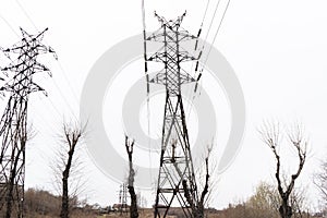 Electric city pole with gray sky and bare tree branches.