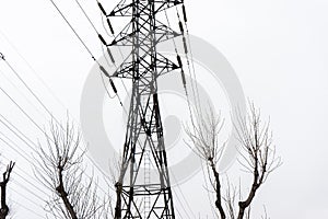 Electric city pole with gray sky and bare tree branches.