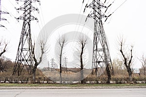 Electric city pole with gray sky and bare tree branches.