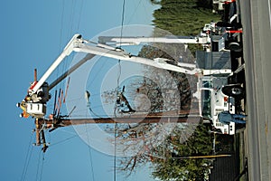 Electric Crew Working