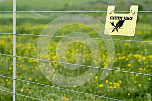 Electric Fence