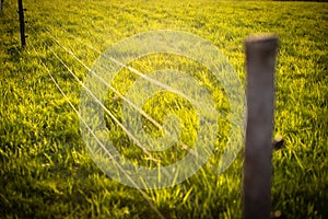 Electric fence around a pasture