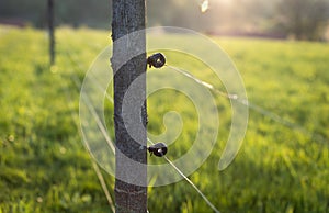 Electric fence around a pasture