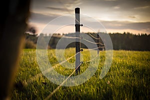 Electric fence around a pasture