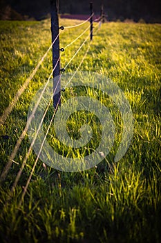 Electric fence around a pasture