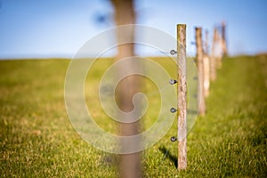 Electric fence around a pasture