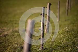 Electric fence around a pasture