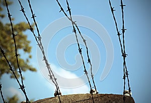 Electric fence with barbed wire