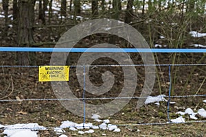 An electric fence in the forest for cordoning off photo