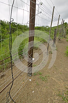 Electric fence of Siyakwemukela Hluhluwe Umfolozi Game Reserve, South Africa photo