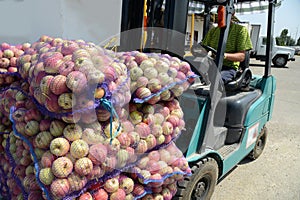 Electric forklift truck with bags