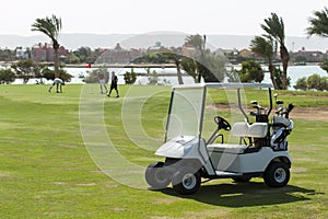 Electric golf buggy on a fairway