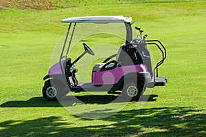 Electric golf buggy on the fairway
