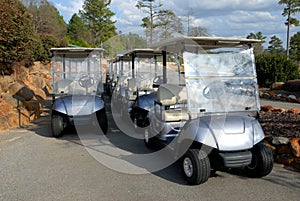 Electric Golf Carts
