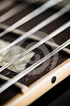 Electric guitar dectail