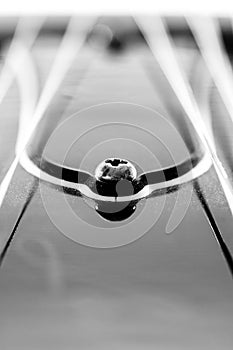 Electric guitar dectail