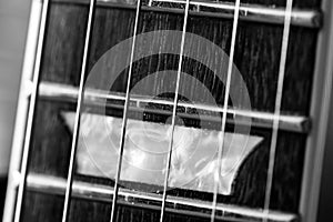 Electric guitar neck close up macro shot in black and white