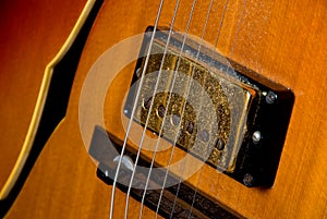 Electric Guitar Pickup