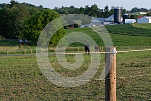 Electric high tensile fence