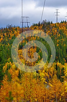 Electric high-voltage line in the taiga in autumn