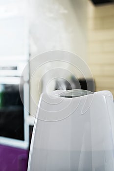 Electric humidifier works in the room and produces