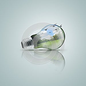 Electric light bulb with forest, Ecological concept