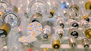 Electric light bulbs of various shape and base.