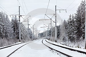 Electric mainline railroad in winter forest