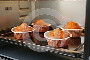 Electric mini oven and baked hot muffins close up photo