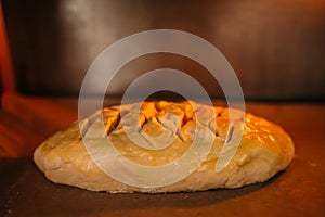 Electric mini oven for homemade bread cooking