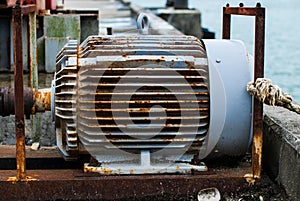 electric motor