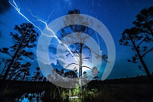 Electric Night Sky: A Stunning Display of Lightning Storm